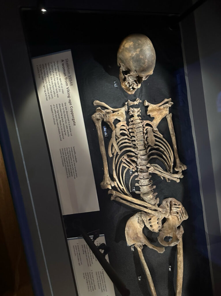 A photo of a skeleton in a museum display.